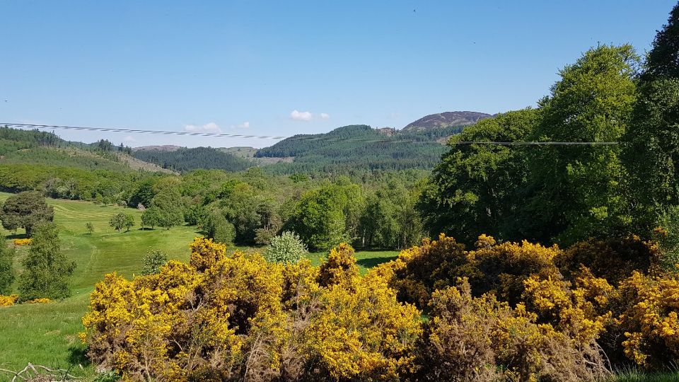 Slideshow 5 - Slide 19